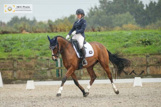 Billericay and District Riding Club Dressage Show, Barleylands EC, Sunday 23rd October