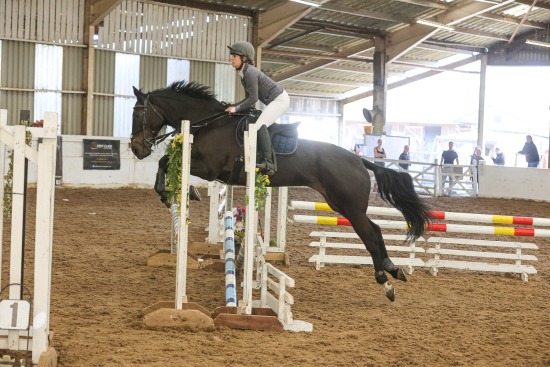 Unaffiliated Show Jumping, Duckhurst Farm, Sunday 9th April